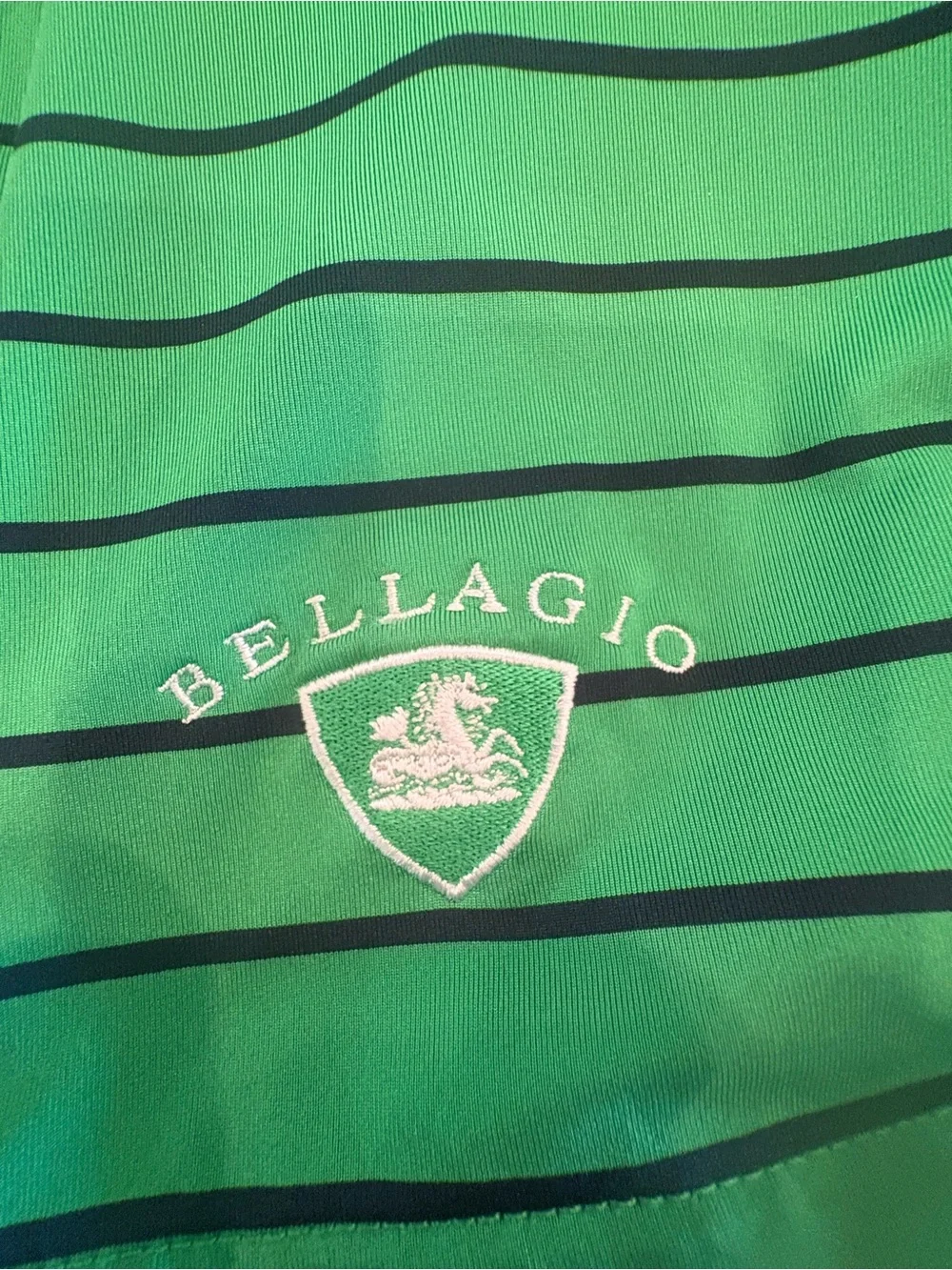 Ralph Lauren Green Striped Polo with Navy Collar
